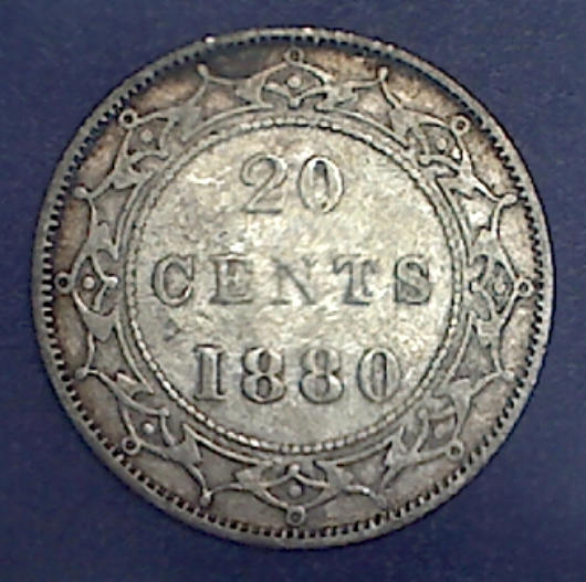Your-12-Favorite-19th-Century-Coins!