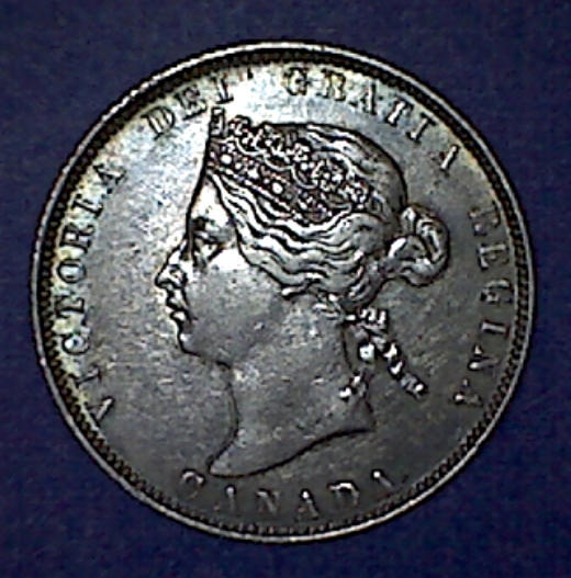 Your-12-Favorite-19th-Century-Coins!