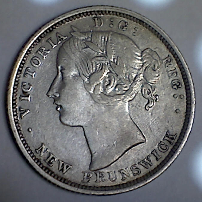 Your-12-Favorite-19th-Century-Coins!