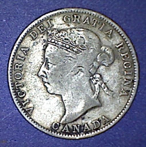 Your-12-Favorite-19th-Century-Coins!