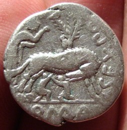 A-Common-Roman-Coin