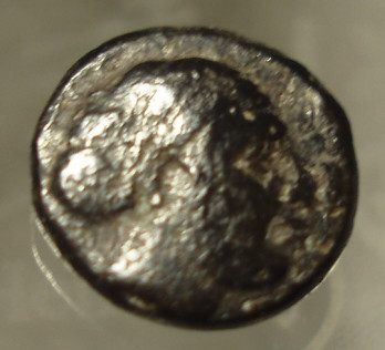 Ummm,-Can-Anybody-Identify-This-Bull-Coin?