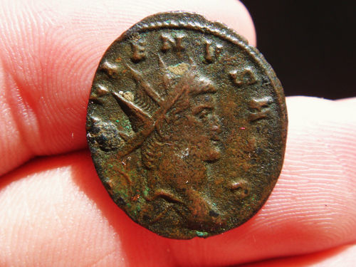 Gallienus'-Zoo