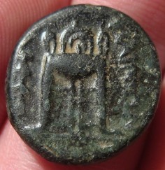 I-Just-Spent-$80-Bucks-On-Three-Greek-Coins-Shabammm!!