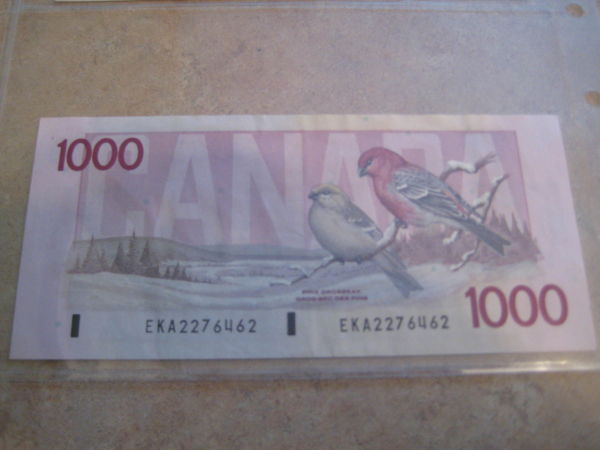 Post-Your-Paper-Money-Collections.
