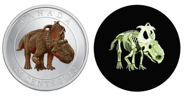 Glow-In-The-Dark-Quarter