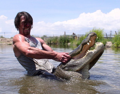 A-Crocodile-Chained-To-A-Palm-Tree,-Eh?-...-Interesting
