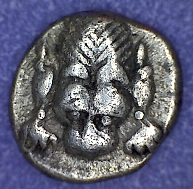Meet-Chunky-The-Fat-Coin