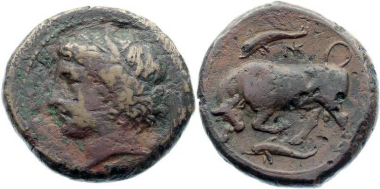 Bull-&-Dolphins-=-Right-On-=>-Another-Great-Coin-*cha-Ching*