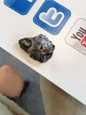 Any-Ideas-What-This-Might-Be?