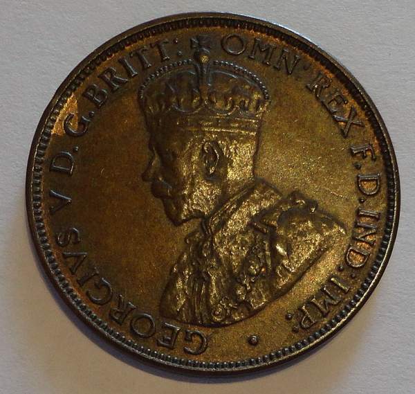 High-Grade-New-Arrivals-Today