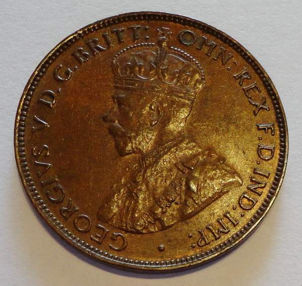 High-Grade-New-Arrivals-Today