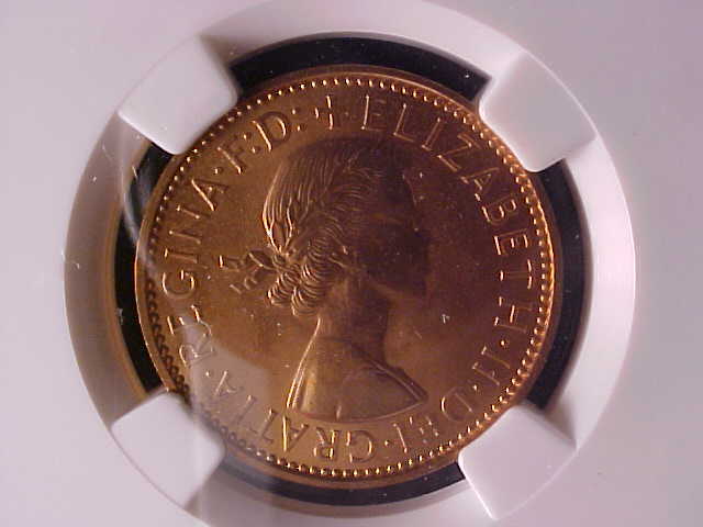 Shiny-New-Coin