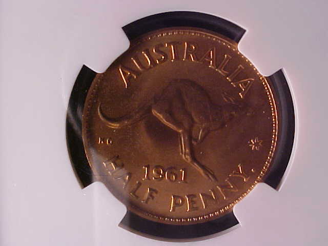 Shiny-New-Coin