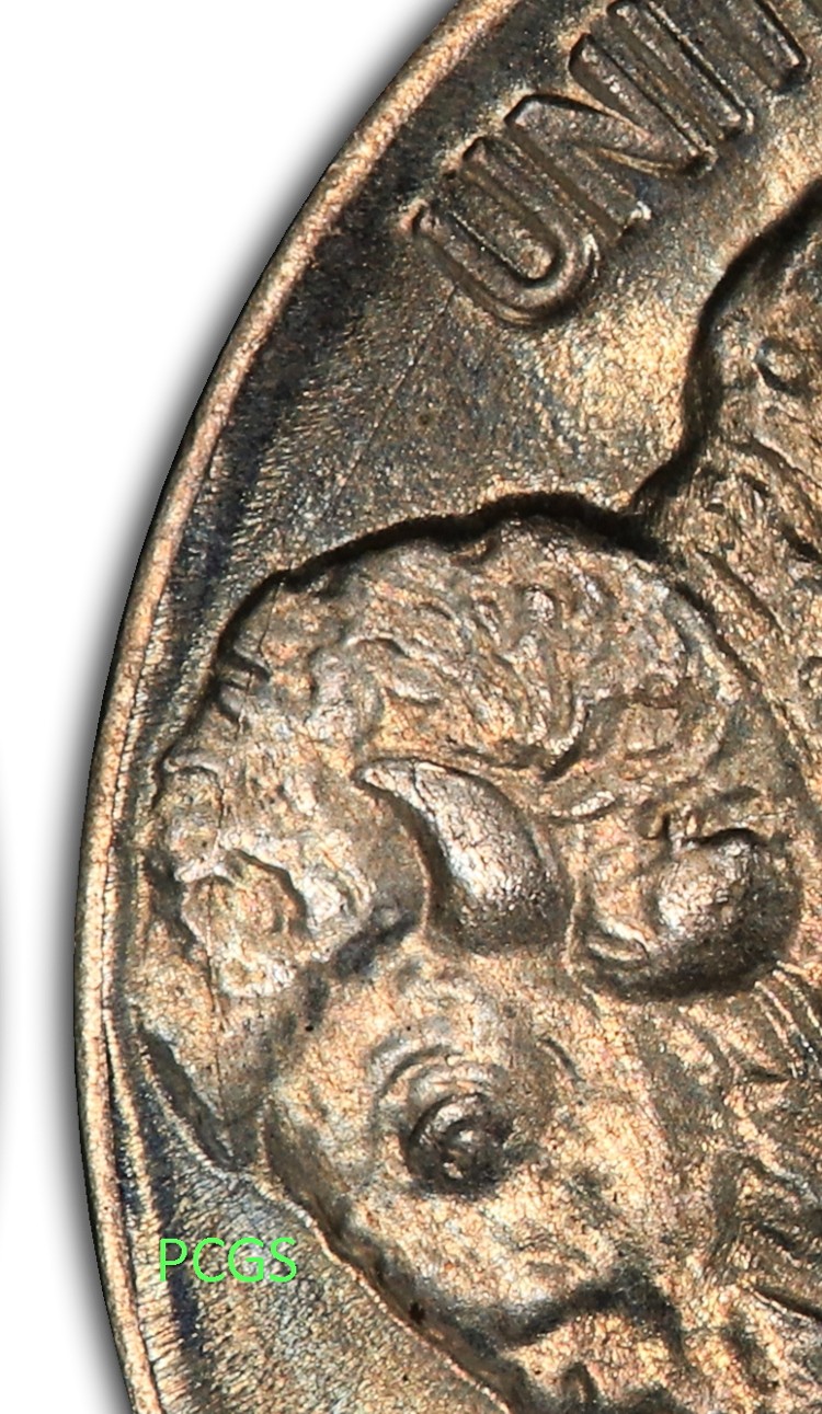 1931-S-DDR-FS-801-Buffalo-Nickel-,-PCGS-Doesn't-Have-Any-Plate-Coins-Correct-!