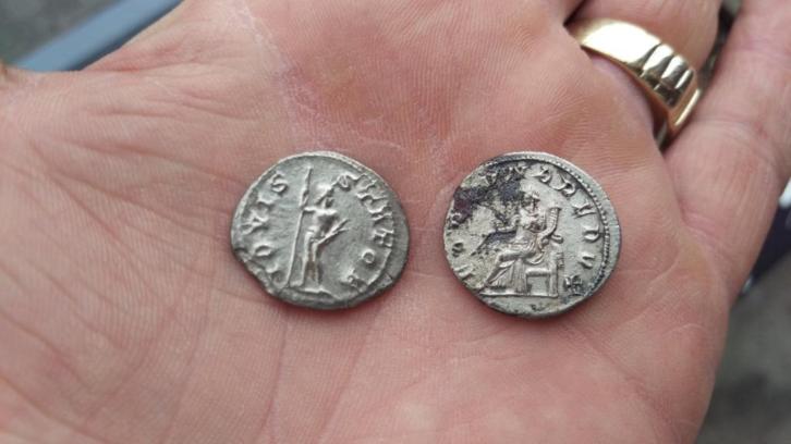 Real-Antonianus?-Would-Also-Like-Help-Identifying