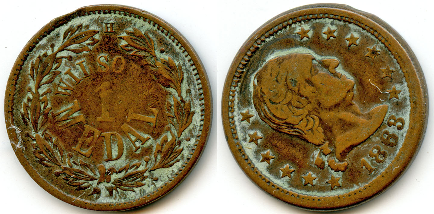 Wilson's-1-Medal-Coin