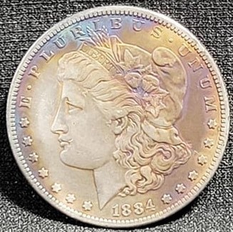 1884-S-Morgan-Silver-Dollar,-I'm-Courious?