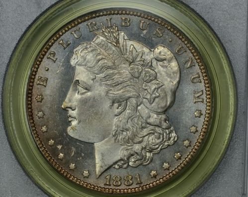 Continuing-List-To-Show-Everyones-Latest-Acquisitions