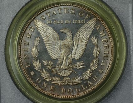 Continuing-List-To-Show-Everyones-Latest-Acquisitions