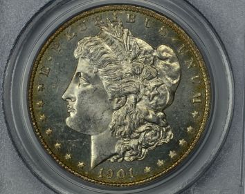 Continuing-List-To-Show-Everyones-Latest-Acquisitions