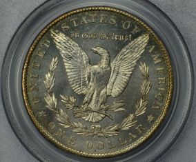 Continuing-List-To-Show-Everyones-Latest-Acquisitions