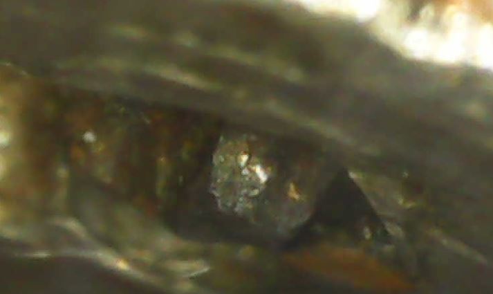 1988-D-Quarter-Error-Or-Damage?