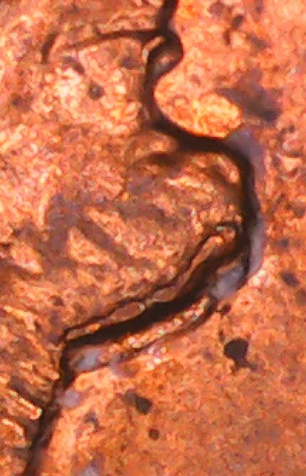 1994-Penny-Doubling-Around-Chin?