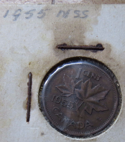 1955-Canadian-Penny-Nss-As-Found-Wondering-About-Value
