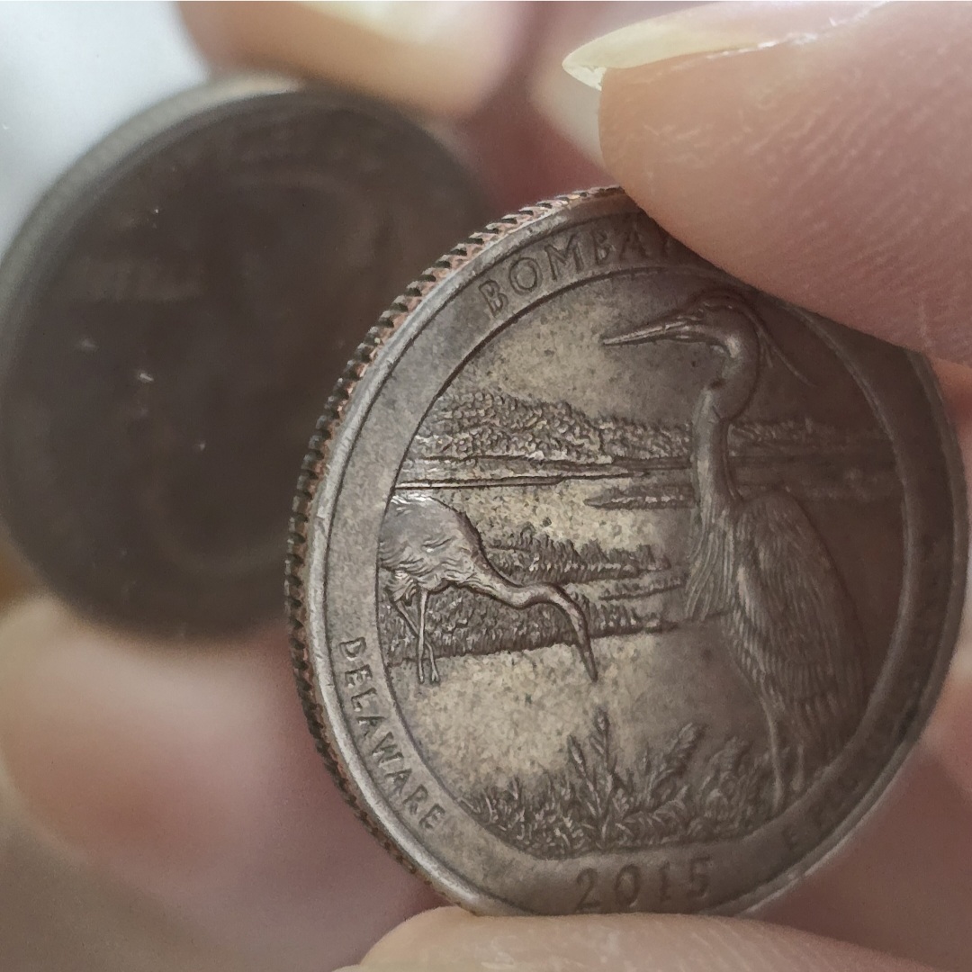 Reverse-Die-Axis-|-2015-D-Bombay-Hook-Quarter---Mint-Error-Upside-Down