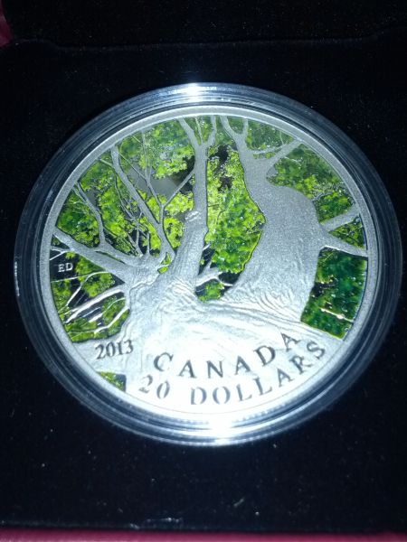What-About-The-1-Oz....maple-Canopy-Coin