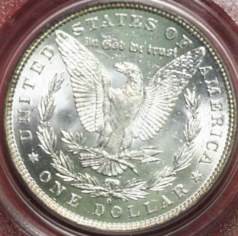 You-Vs.-PCGS-1881-O-Morgan