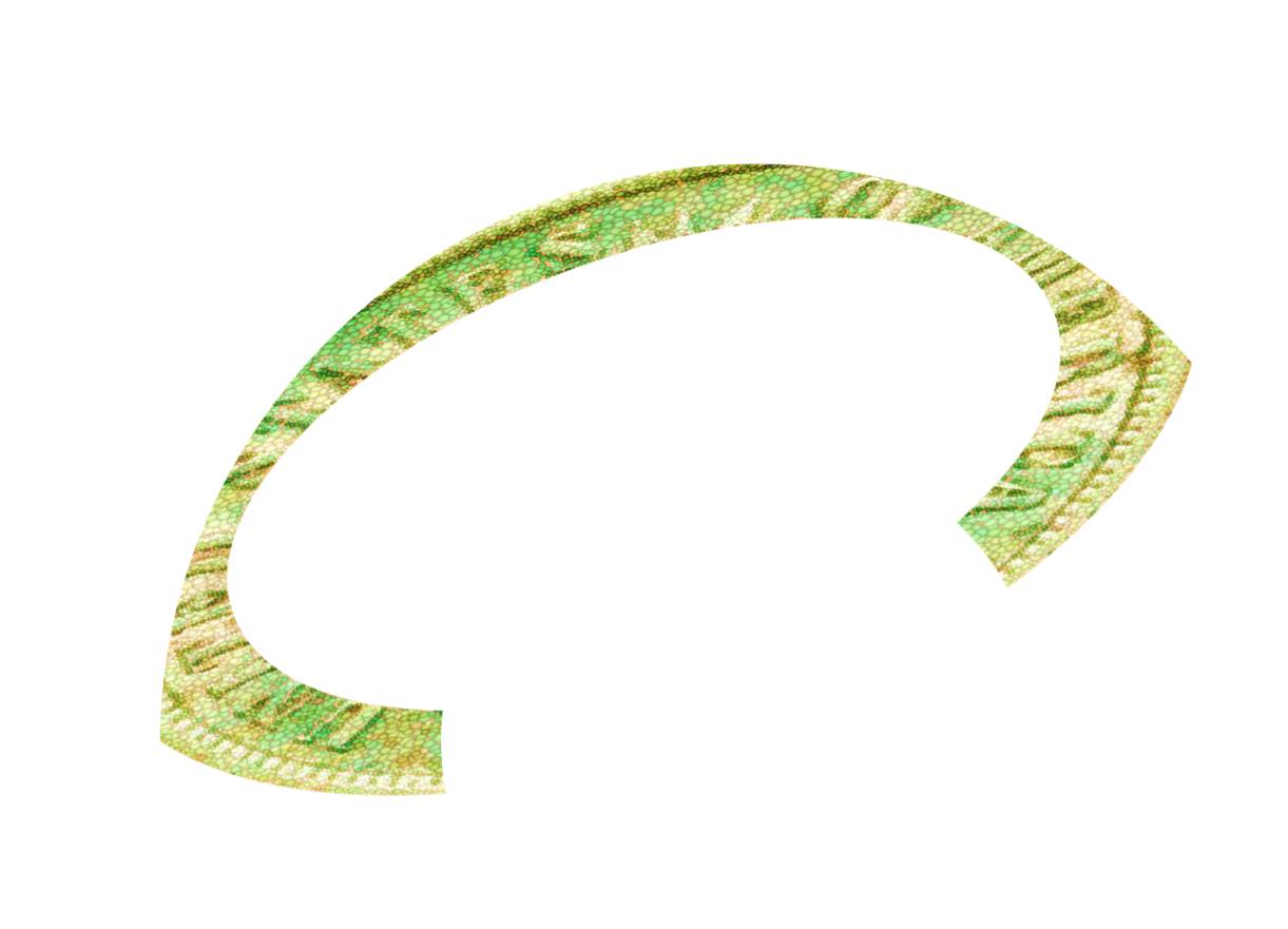 Identify-The-Coin-Game