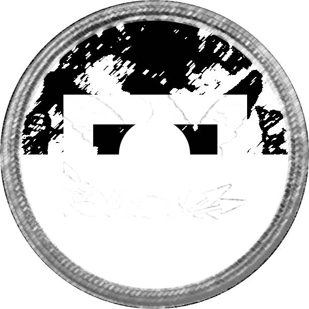 Guess-The-Coin---Chapter-Two