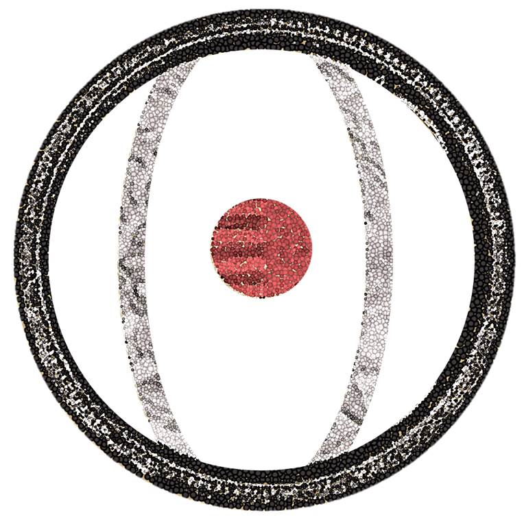 Guess-The-Coin---Chapter-Two