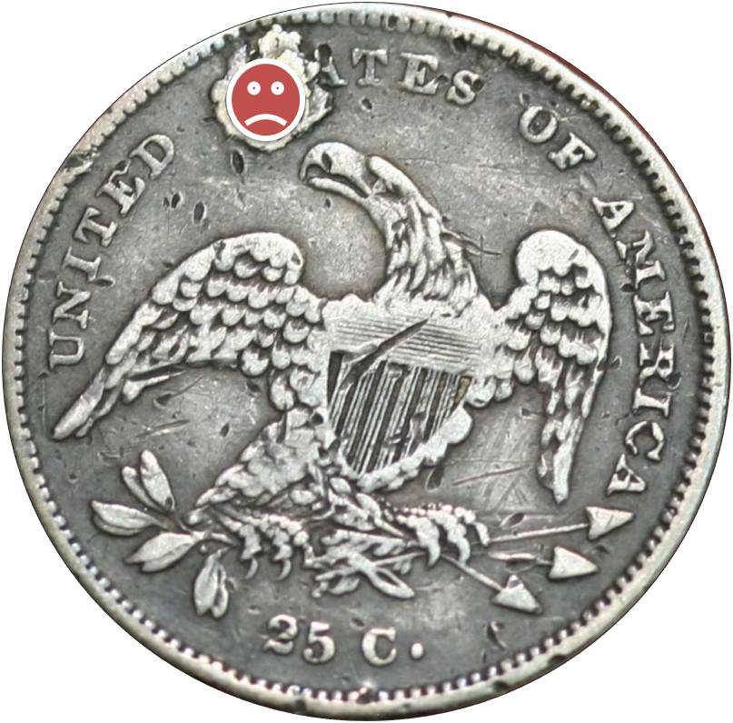 My-First-Bust-Quarter