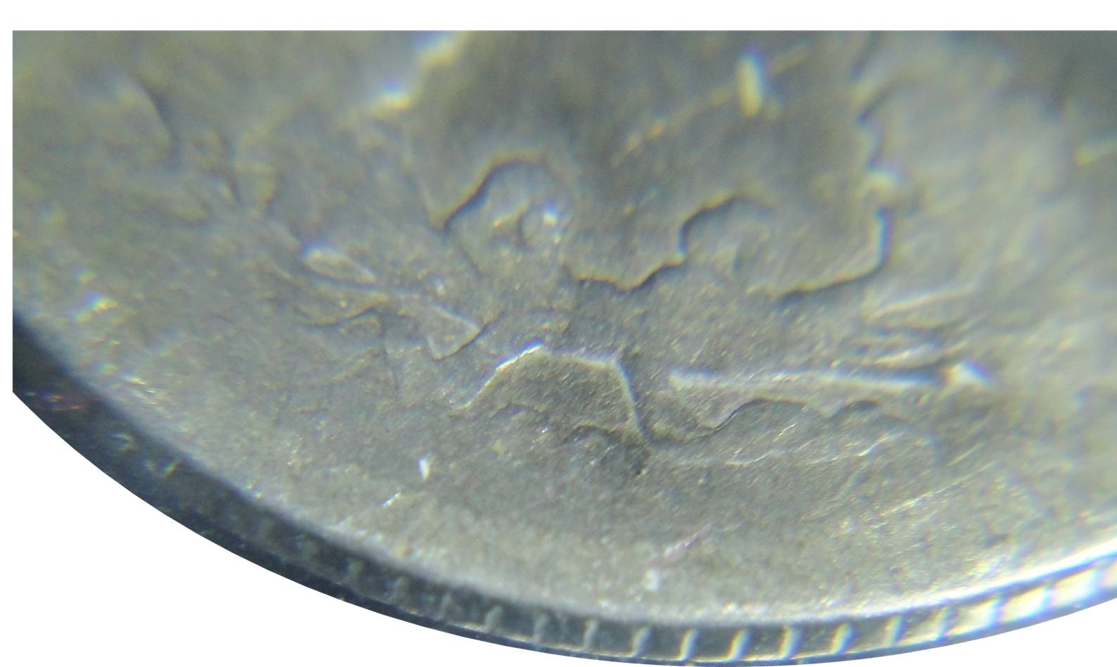 1877-CC-Dime,-Is-This-Coin-Legit?