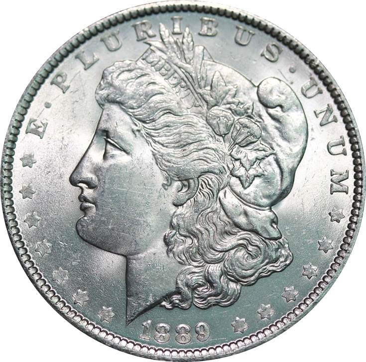 1889-Morgan-Dollar-#2