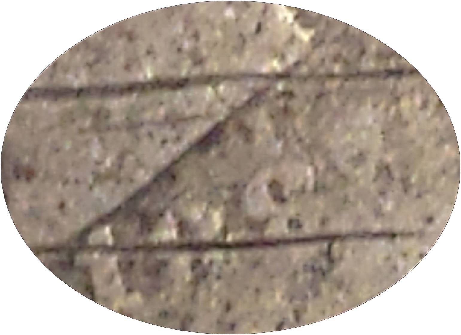 Possible-1885-Liberty-V--Nickel-Find