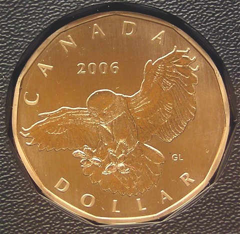 Had-To-Share-This---2006-Snowy-Owl-Specimen-Set