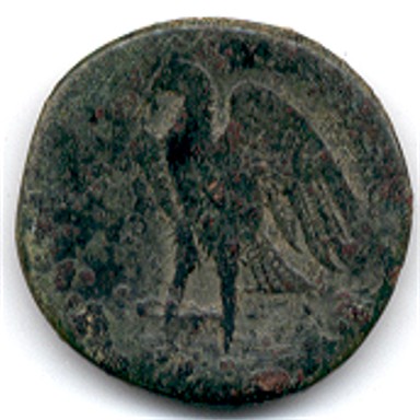 Ptolemy-I-Or-II?-Ae-Zeus-Ammon-Right/Eagle-Left-Open-Wings