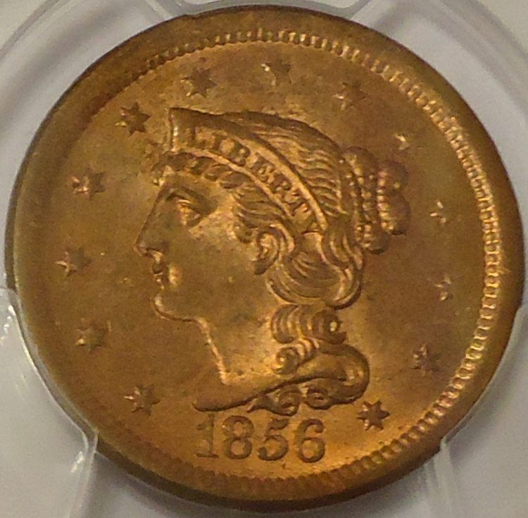 The-Incredible-100-Days-Of-19th-Century-US-Coins!