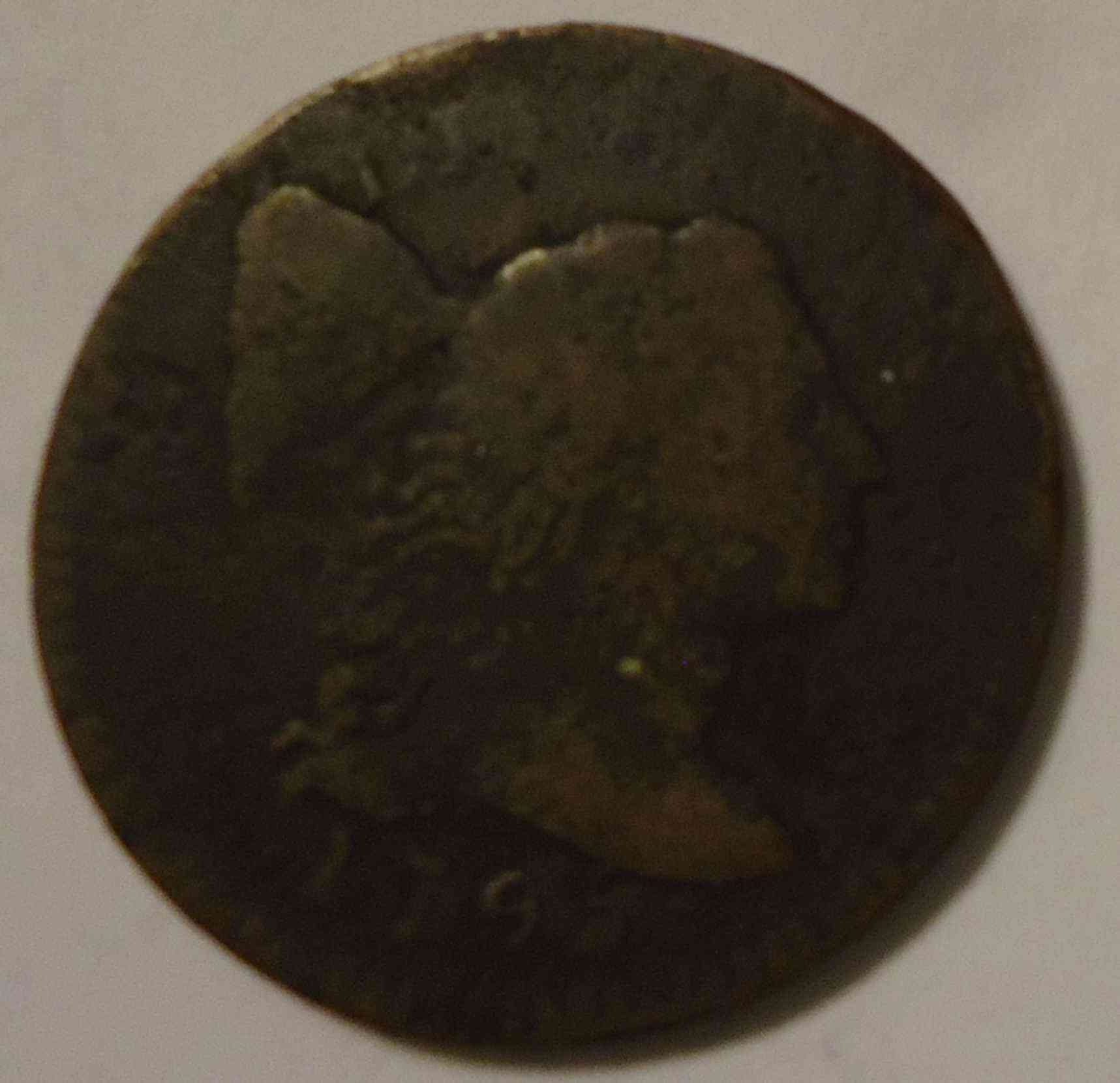 The-65-Days-Of-Half-And-Large-Cents!