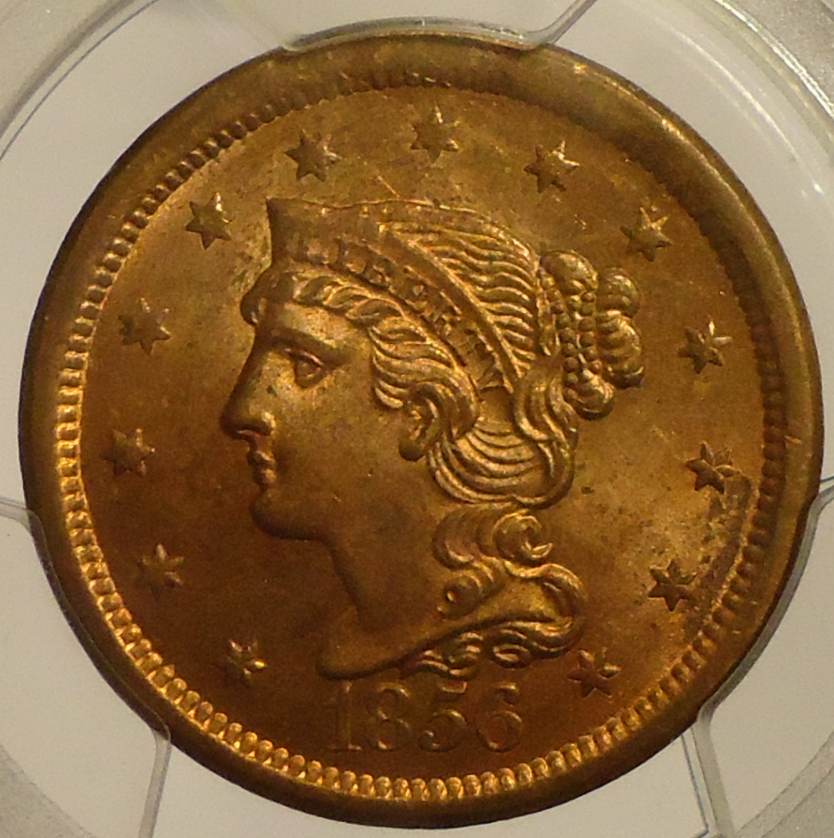 The-100-Days-Of-19th-Century-US-Coins-Plus-64-Days-Of-20th