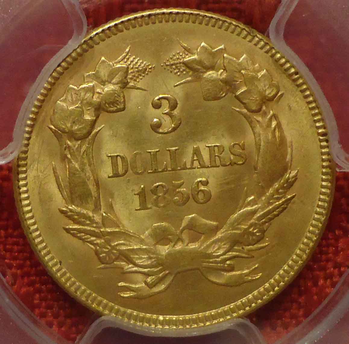 The-100-Days-Of-19th-Century-US-Coins-Plus-64-Days-Of-20th