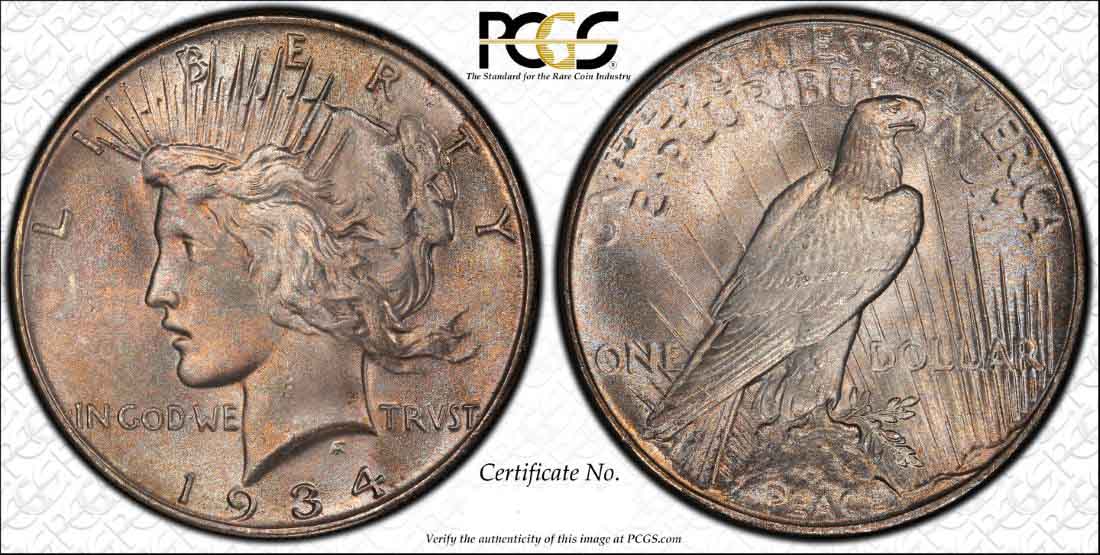 1934-Peace-Dollar---You-Vs.-PCGS