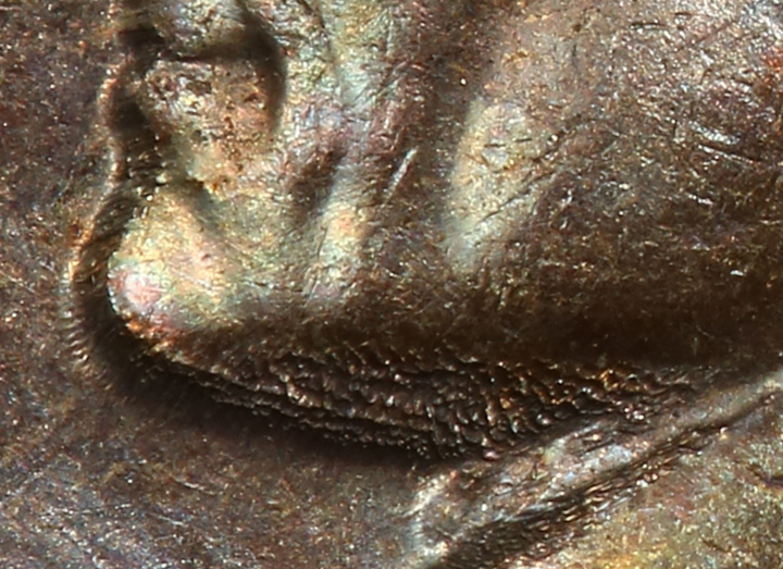 Definitive-Test-For-Black-Beauty-Nickels