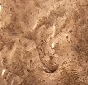 2018-D-Lincoln-Shield-Cent-DDO-001-Found-CRH-Doubled-Ear