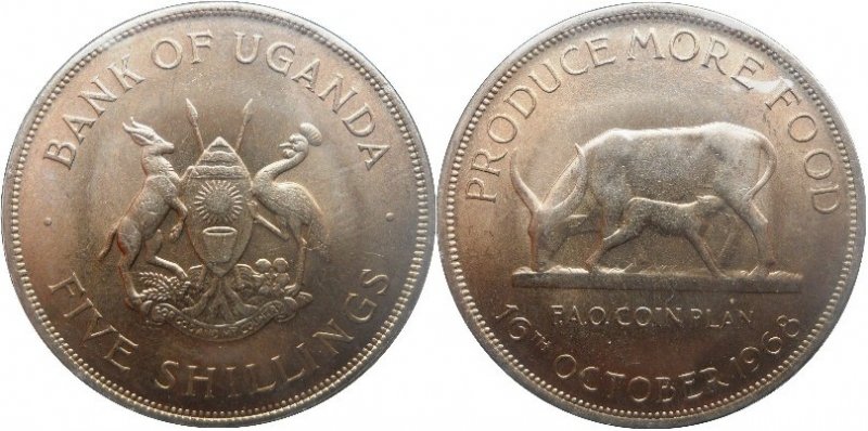Animals-On-Circulating-Coins