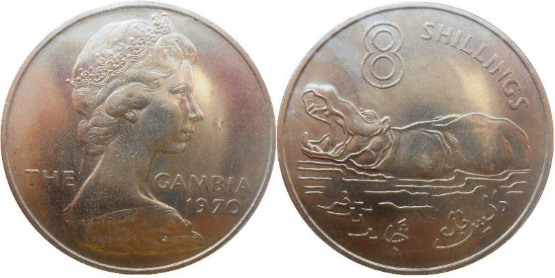 Bilingual-Coins